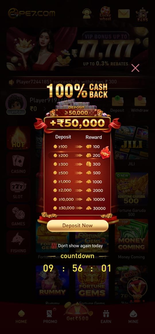 PE7 screenshot 3