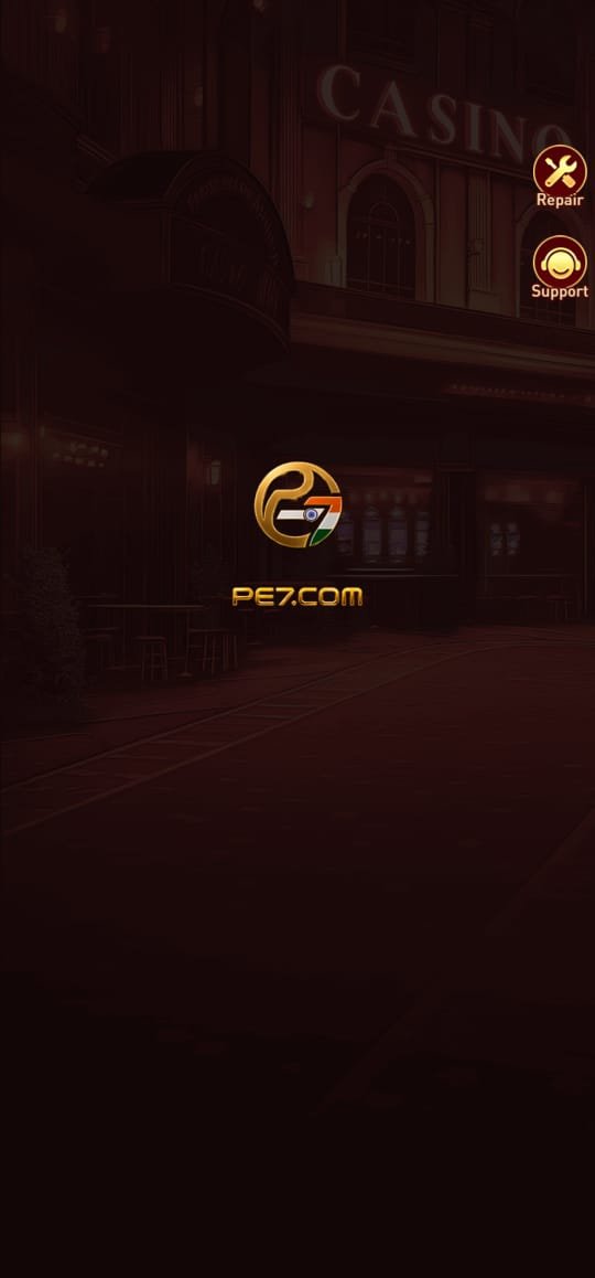 PE7 screenshot 1