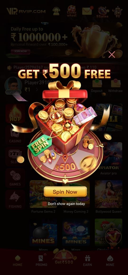 Rvip screenshot 2